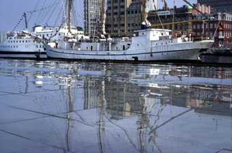 arskronika_2008_simittchiev arskronika_2008_simittchiev