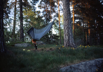 croisee_nauczyciel croisee_nauczyciel