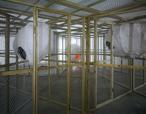 eklips_nelson eklips_nelson