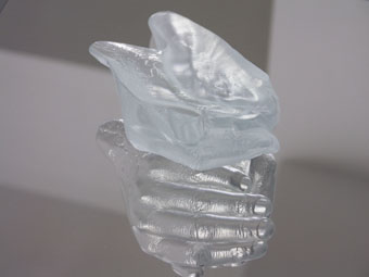 fridfinnsson2 fridfinnsson2