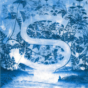 r_andersson r_andersson