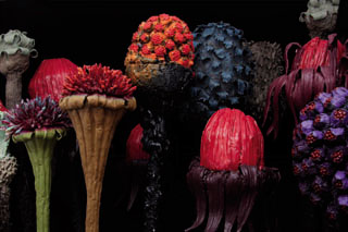 venedig_djurberg venedig_djurberg