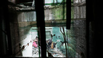 zhencheng2 zhencheng2