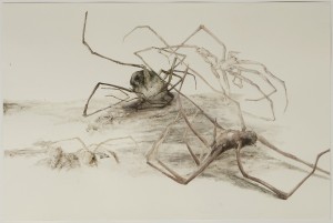 johanna_2010 johanna_2010