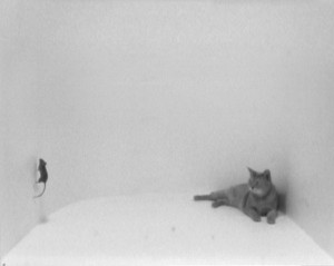 tedsdotter2 tedsdotter2