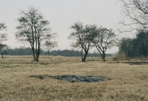 fridaklingberg fridaklingberg