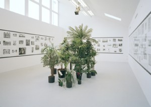 eva_arnqvist_vita_flackar eva_arnqvist_vita_flackar