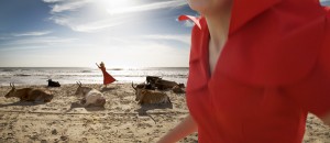 nadja_ekman nadja_ekman