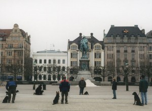 dogtraining dogtraining