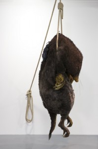 Magasin3_INVES_Dion Magasin3_INVES_Dion