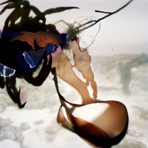 SG 10 11 102-08 SG 10 11 102-08