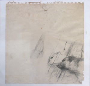 trankell2_zoom trankell2_zoom