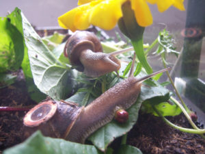 boredomresearch boredomresearch