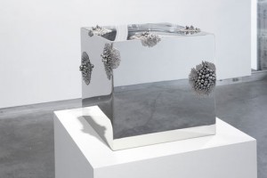 ASh_Magnetic-Force_2011_30x30x30cm_540px ASh_Magnetic-Force_2011_30x30x30cm_540px