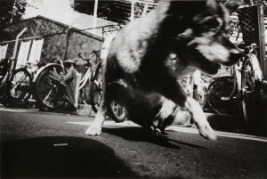 DM-f-70-(Record11) DM-f-70-(Record11)