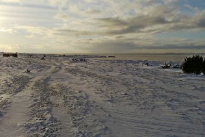 Delimitation_bild-enhanced.jpeg image