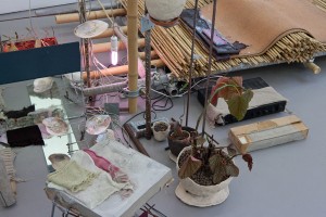 20120223_MEA_GRS_06 20120223_MEA_GRS_06