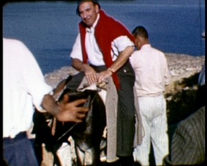 1337165709_2_M_Josselson_donkey