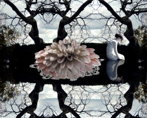 reflextion_press_hortlund