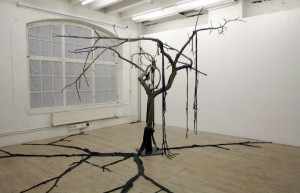 kaisaleenahalinen_exposed