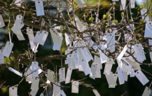 YokoOnoWishtree515x327