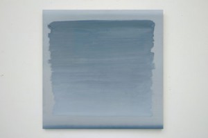 veil_2010_w400