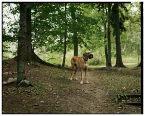 131127_AK_Big_Ben-e1389096161733