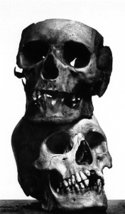 tumblr_mdoysbWKHW1rw3fqbo1_1280