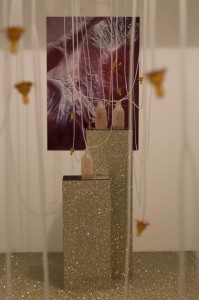 983829_964104313603166_8686544119736965795_n