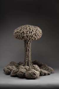 DSC1225-e1420803569505