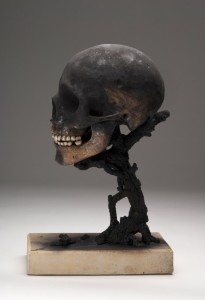 DSC_07043-e1420803450552