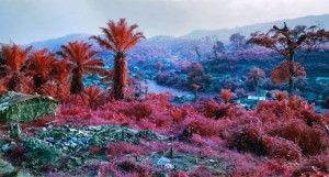 hombo_walikale_press_0