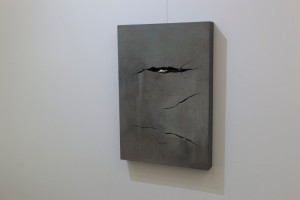 Furbacken_Torstmullochvittring_SPG-8