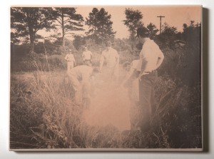 The.Creation.of.a.New.Image