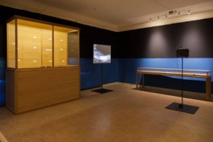 Neomylodon Listai Ameghino @ Evolutionsmuseet - 61