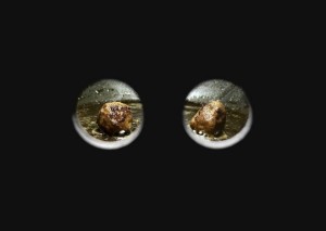 Matousch_Meat_Balls