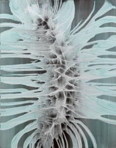 1295172aa3df0cb42175361d02b1a4cc_f2417