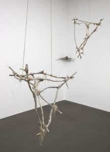 Moa Israelsson Forsberg